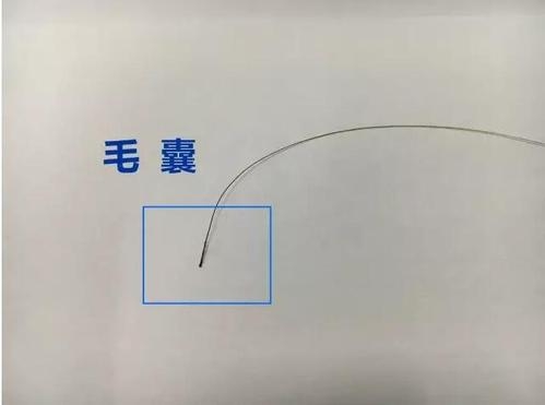 想做個(gè)人親子鑒定，頭發(fā)可以鑒定嗎？