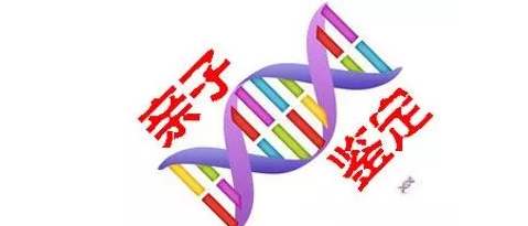 個人親子鑒定需要什么材料